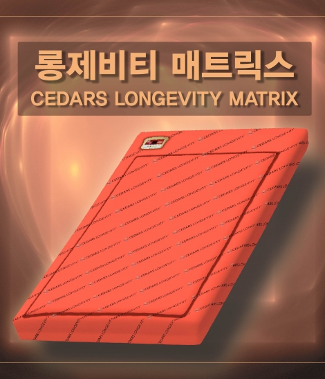 롱제비티 매트릭스