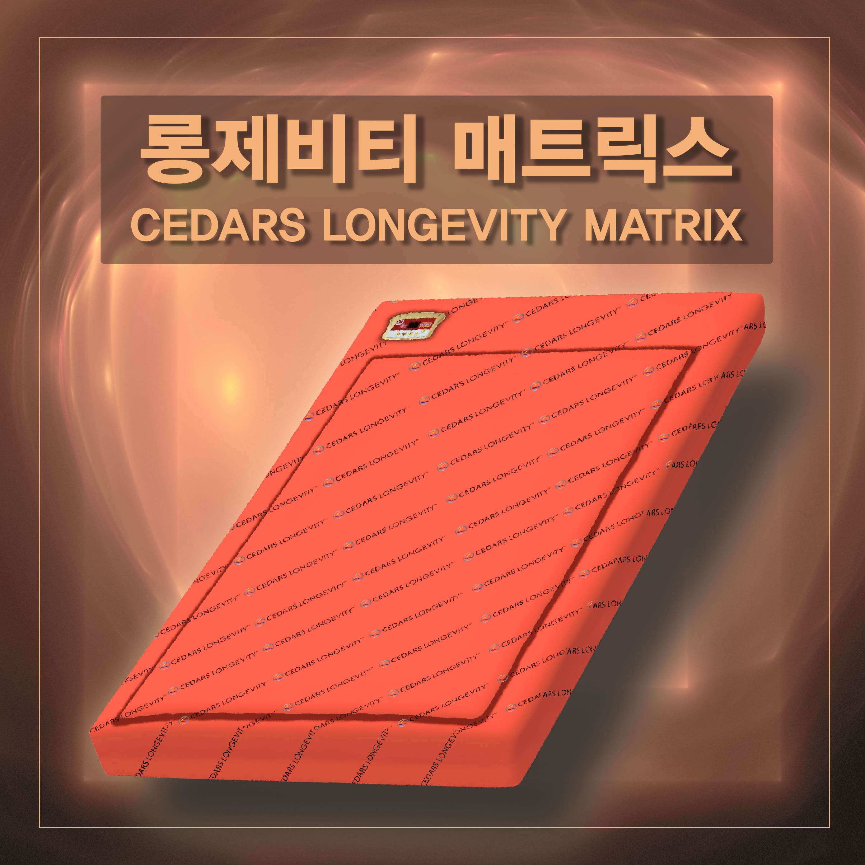 롱제비티 매트릭스