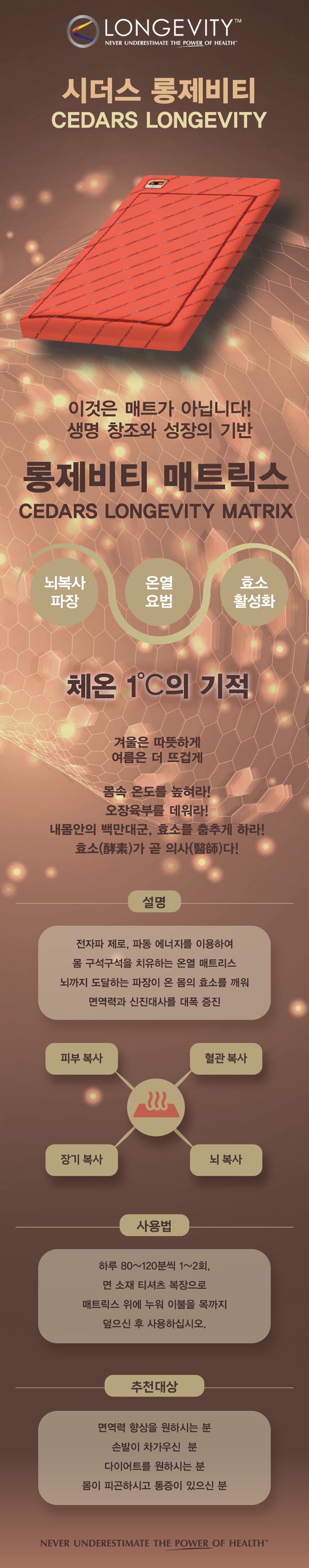 롱제비티 매트릭스